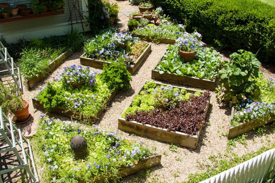 how to create a kitchen garden