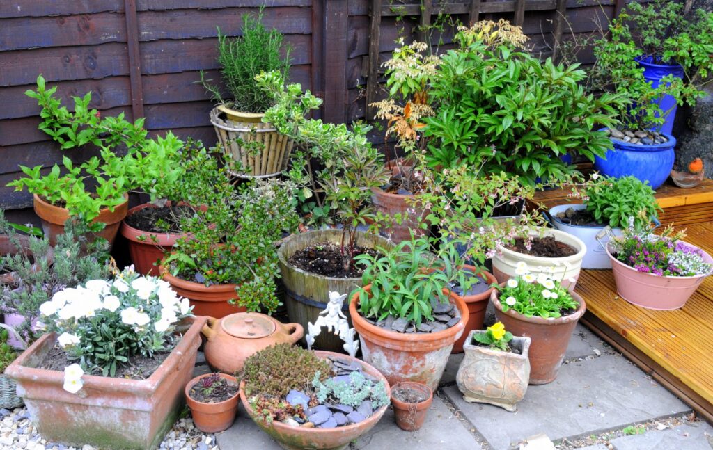 Container gardening for vegetables