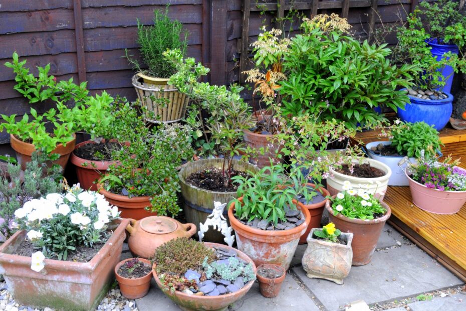 Container gardening for vegetables